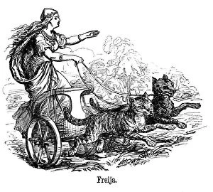 Felines Collection: Freya (Frigg) goddess of love in Scandinavian mythology, driving her chariot pulled by cats