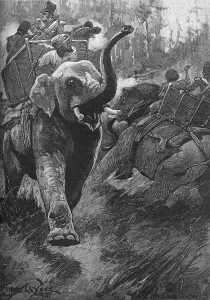 Running Prints: The Frightened Elephants Rushed Back Crashing Through The Forest