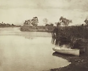Photograph Album Prints: The fringe of the lake. From the album: Camera Pictures of New Zealand