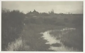 Edition Of 200 Prints: The Fringe of the Marsh, 1886. Creator: Peter Henry Emerson