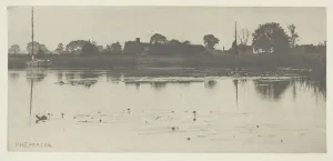 The Fringe of the Mere, c. 1883/87, printed 1888. Creator: Peter Henry Emerson The Fringe of the Mere, c. 1883/87, printed 1888. Creator: Peter Henry Emerson