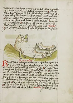 Frog Prints: A Frog Sitting on a Hill Receiving a Vessel from a Group of Animals