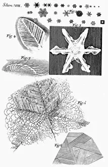 Frozen materials viewed by English microscopist Robert Hooke, 1665