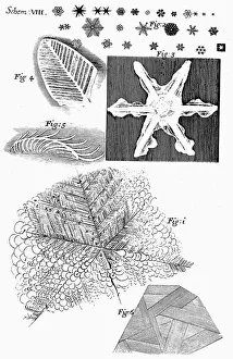Frozen materials viewed by English microscopist Robert Hooke, 1665