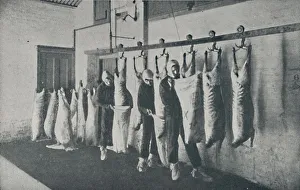 Carcass Prints: Frozen Meat, 1910