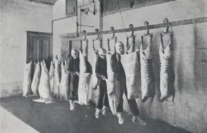 Carcass Prints: Frozen Meat, 1923. Creator: Unknown