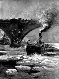 Laridae Prints: The Frozen Thames: a study at London Bridge