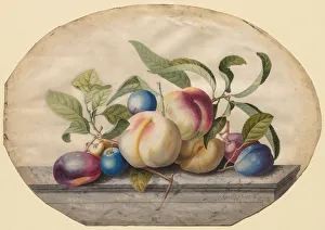 1708 1770 Prints: Fruit Arrangement: Peaches and Plumbs on a Slab of Marble