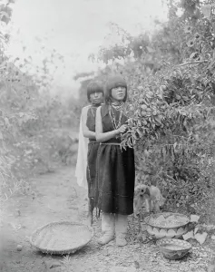 Tewa Prints: The fruit gatherers, c1905. Creator: Edward Sheriff Curtis