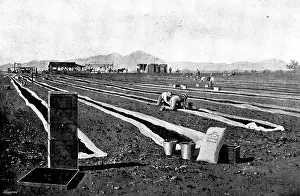 Export Prints: Fruit-Growing in California: drying prunes, 1895. Creator: George Meisenbach