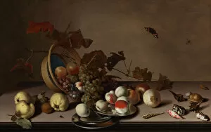 Balthasar Collection: Fruit still life with wicker basket, mussels and butterfly, First Half of 17th cen