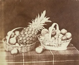 Ananas Sativus Prints: A Fruit Piece, Printed 1844-1846. Creator: William Henry Fox Talbot