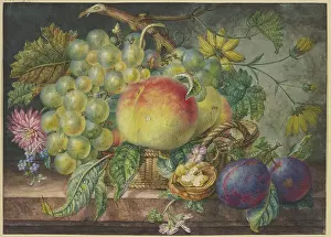 Fruit Basket Prints: Fruit scene, a basket with grapes and peaches