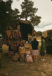 Fruit wagon at the Pie Town, New Mexico Fair, 1940. Creator: Russell Lee