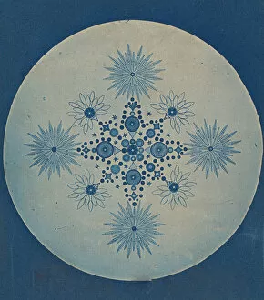 Cyanotype Collection: [Frustules of Diatoms], ca. 1870. Creator: Attributed to Julius Wiesner