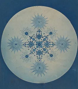Symmetrical Prints: [Frustules of Diatoms], ca. 1870. Creator: Attributed to Julius Wiesner