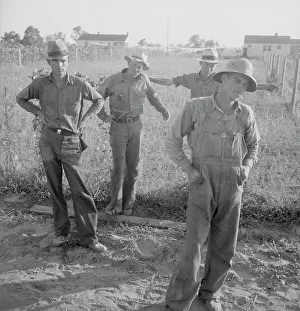 Workwear Prints: FSA cooperative farm, Lake Dick, Arkansas, 1939. Creator: Dorothea Lange
