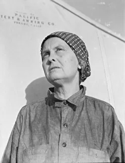 Migration Collection: FSA emergency migratory labor camp, Calipatria, Imperial Valley, 1939. Creator: Dorothea Lange