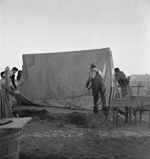 Accommodation Gallery: FSA migratory labor camp (emergency), Calipatria, Imperial Valley, CA, 1939. Creator: Dorothea Lange