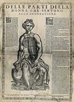 A fugitive sheet of a seated female figure, her hand resting on a vase, with her thorax and... 1611 Creator: Unknown