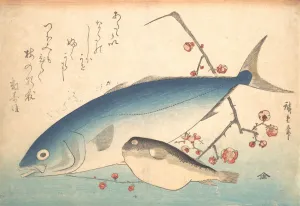 Fishes Prints: Fugu and Inada Fish, from the series Uozukushi (Every Variety of Fish)