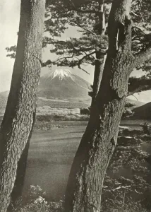 In Lotus Land Japan Prints: Fuji Through the Pines of Lake Motosu, 1910. Creator: Herbert Ponting
