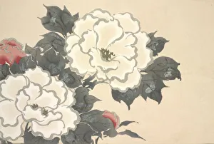 Fukami-Gusa, from Momoyo-gusa (The World of Things) Vol I, pub
