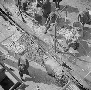 Dock Worker Prints: Fulton fish market dock stevedores unloading and weighing fish in the early morning