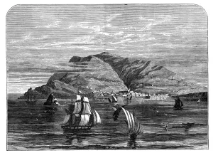 Robert Brown Prints: Funchal, Madeira, c1890