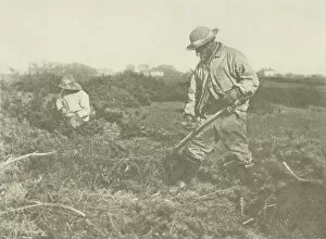 Moorland Collection: Furze-Cutting on a Suffolk Common, c. 1883 / 87, printed 1888. Creator: Peter Henry Emerson