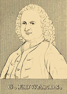 Sir Hans Sloane Collection: G. Edwards, (1694- 1773), 1830. Creator: Unknown