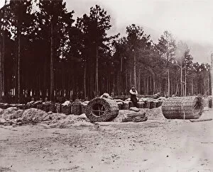 Trench Collection: Gabions in Engineers Camp, Petersburg, 1864. Creator: Tim O Sullivan