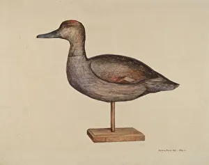 Samuel W Prints: Gadwall Decoy, c. 1939. Creator: Samuel W. Ford