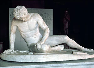 Images Dated 18th June 2013: The Galata, Dying Gaul, a Roman copy of a Greek original from Pergamum, 3rd-2nd century BC