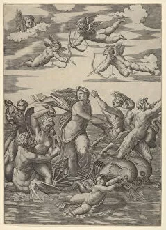 Marcantonio Gallery: Galatea standing in a water-chariot pulled by two dolphins, surrounded by tritons, nere