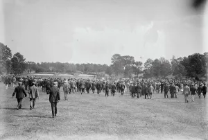 Fans Prints: Gallery at golf match, 9/13/13, 1913. Creator: Bain News Service