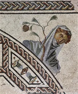 Gallo Roman Collection: Gallo-Roman mosaic pavement