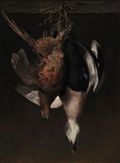 Pheasant Prints: Game. A Pheasant and an Eider, 1846. Creator: Johan Laurentz Jensen