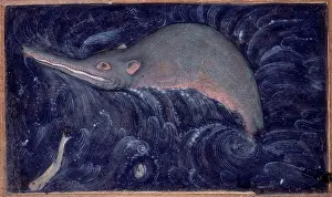 Ganges River Prints: Ganges River Dolphin, 1590. Creator: Sarwan