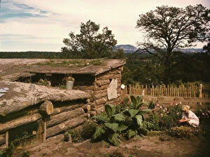 Dugout Gallery: Garden adjacent to the dugout home of Jack Whinery, homesteader, Pie Town, New Mexico, 1940