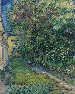 1889 Gallery: The garden at the asylum at Saint-Remy, 1889