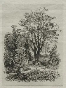My Garden. Creator: Maxime Lalanne (French, 1827-1886)