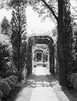 Trellis Prints: Garden, East Hampton, Long Island, between 1933 and 1942. Creator: Arnold Genthe