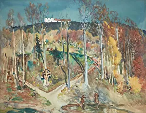 Niederosterreich Austria Prints: Garden (forest slope near Maria Taferl in the Wachau)