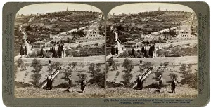 The Garden of Gethsemane and the Mount of Olives, Palestine, 1908. Artist: Underwood & Underwood