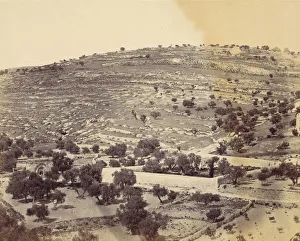 Olive Trees Prints: Garden of Gethsemane and the Tomb of the Virgin, Jerusalem, 1860s. Creator: John Anthony