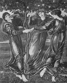 The Garden of the Hesperides, c1870, (1917). Artist: Edward Burnes-Jones The Garden of the Hesperides, c1870, (1917). Artist: Edward Burnes-Jones