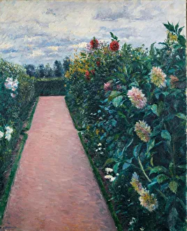 Caillebotte Prints: Garden Path with Dahlias in Petit Gennevilliers, 1890-1891