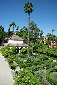 Hispano Arabic Prints: A garden at the Royal Alcazar of Seville