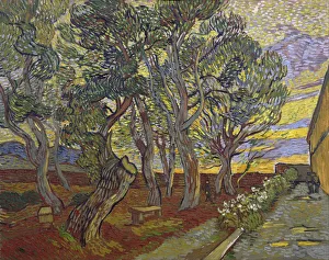 The garden of Saint Pauls Hospital, 1889. Artist: Gogh, Vincent, van (1853-1890)